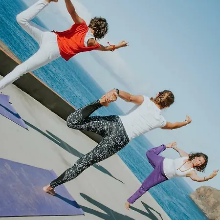 Ohana Madeira Guest House منزل للإقامة