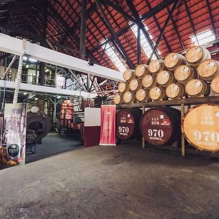 Проживание в семье Ohana Madeira *