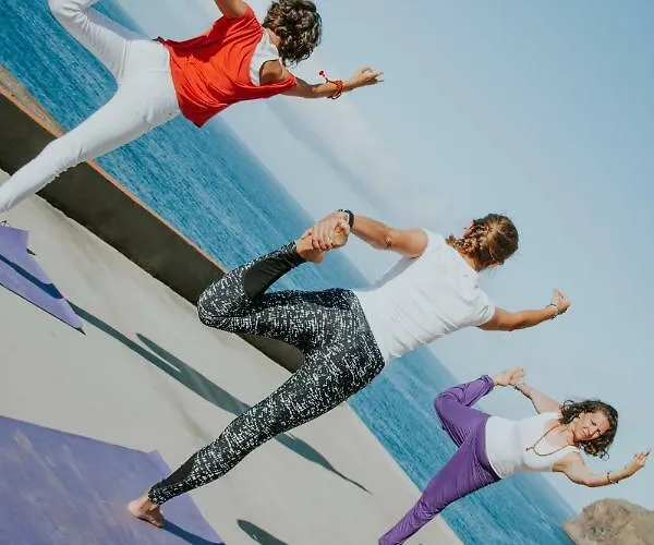 Ohana Madeira Homestay